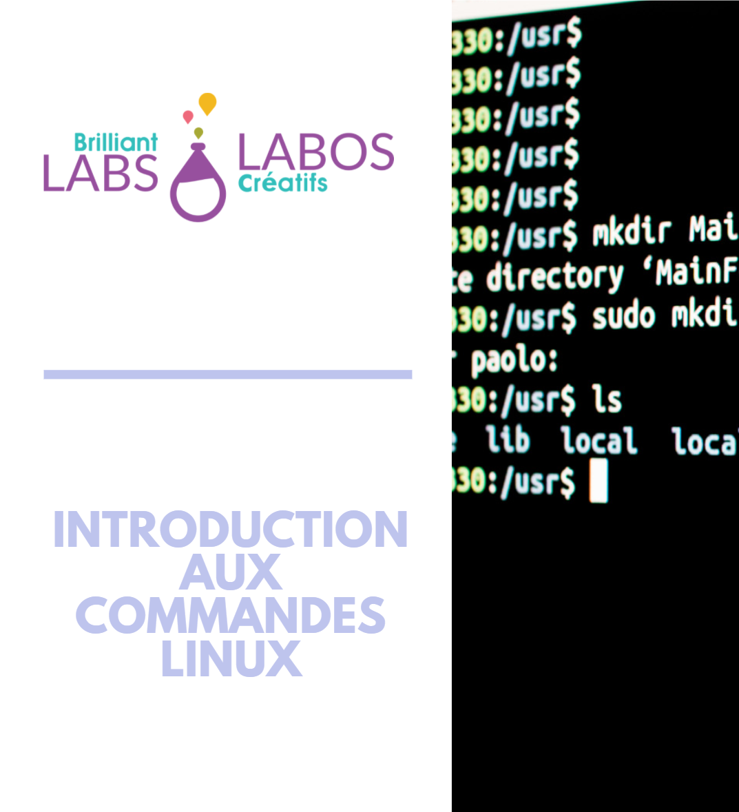Introduction aux commandes Linux CYSEC-BASIC-ACT-02